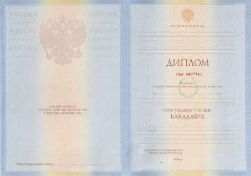 Диплом бакалавра 2010 - 2011 года