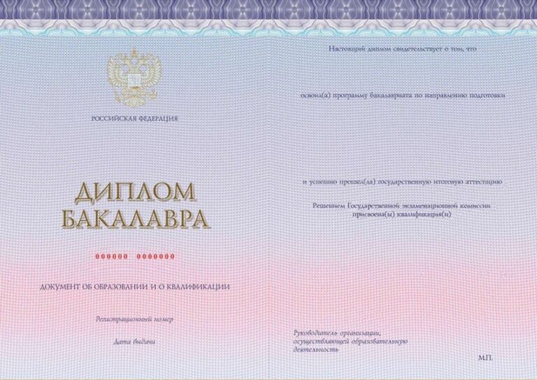 Диплом бакалавра 2023-2025 года