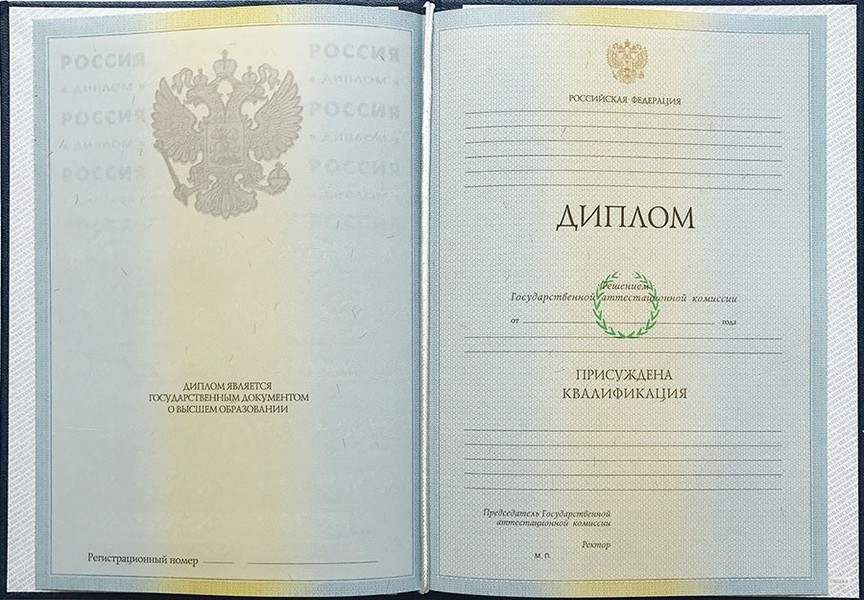 Диплом ВУЗа 2009-2010 года